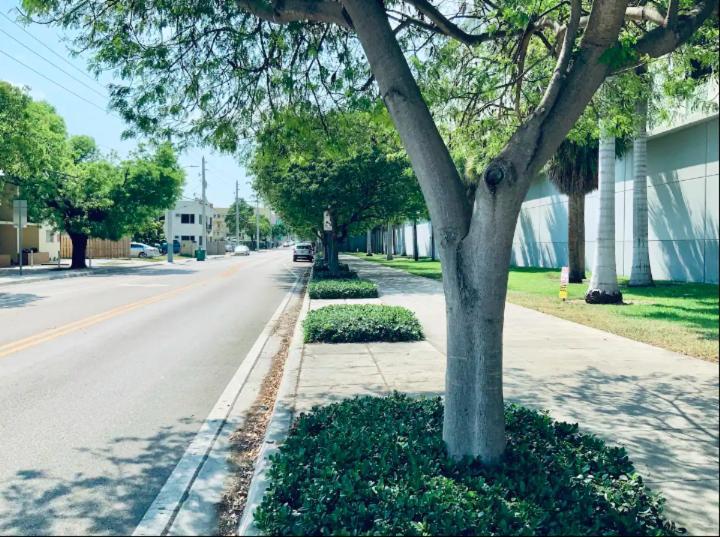 Apartments In The Heart Of Miami - Port Of Miami / Miami Airport Εξωτερικό φωτογραφία